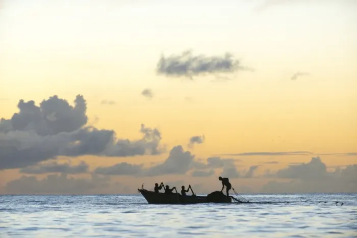 Framed Print : Seine fisherman lay their nets from a boat in Castara Bay in Tobago at sunset, Trinidad and Tobago Framed Print : Seine fisherman lay their nets from a boat in Castara Bay in Tobago at sunset, Trinidad and Tobago