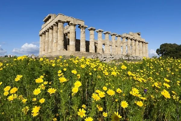 Selinus Greek Temple in spring, Selinunte, Sicily, Italy, Europe