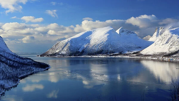 Senja island, Troms og Finnmark, north west Norway, Scandinavia, Europe