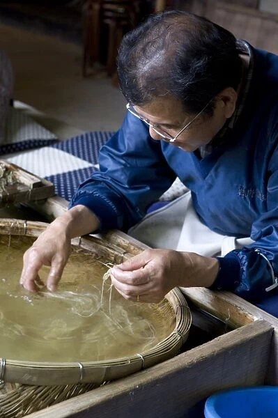 Separating mulberry fibers for making Japanese washi paper at the Echizen Washi No Sato village in Fukui