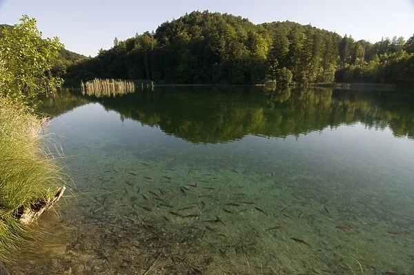 The serene upper Plitvice Lakes National Park, UNESCO World Heritage Site