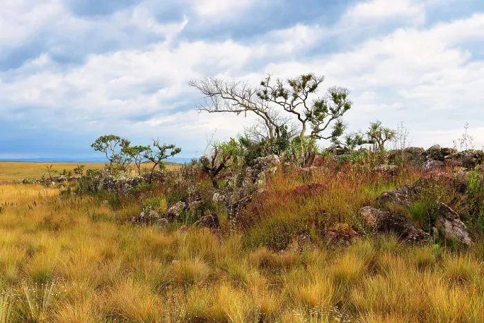 Framed Print : Serra da Canastra landscape, Minas Gerais, Brazil, South America Framed Print : Serra da Canastra landscape, Minas Gerais, Brazil, South America