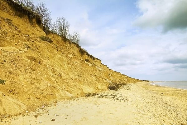 Severe erosion of loose Quaternary glacial sands on this coast that has retreated more than 500m since the1830s, Covehithe, Suffolk, England, United Kingdom, Europe