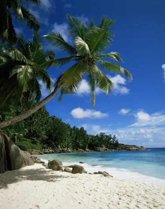 Framed Print : Seychelles Framed Print : Seychelles