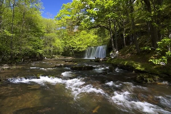 Sgwd Ddwli Uchaf, waterfall on Afon Nedd Fechan, near Ystradfellte, Brecon Beacons