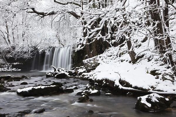 Sgwd Ddwli Waterfall, Brecon Beacons National Park, Powys, Wales, United Kingdom, Europe