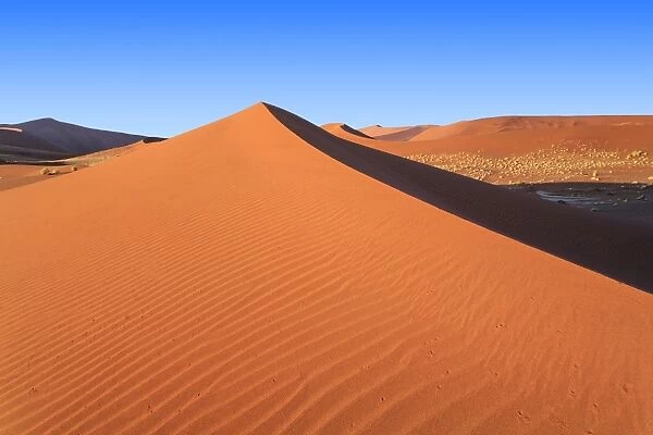 Shadow and light among the sand dunes shaped by wind, Deadvlei, Sossusvlei, Namib Desert