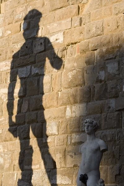Shadow of statue of David