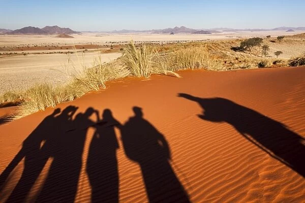 Shadow of traillists on Tok Tokkie trail, NamibRand Nature Reserve, Namibia, Africa
