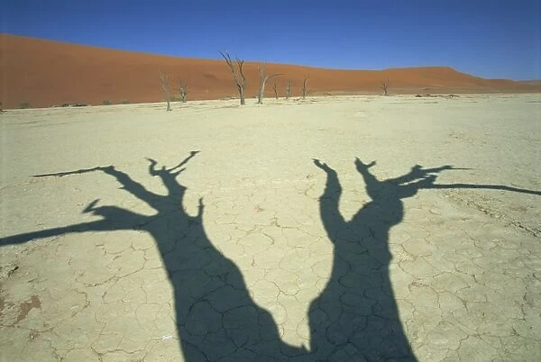 Shadows of dead trees, Dead Vlei, Namib Naukluft Park, Namibia, Africa