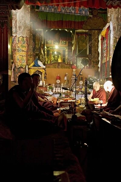 Shaft of light falls on Tibetan Buddhist monks, Meru Nyingba monastery