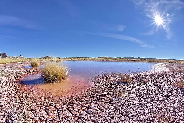 The shallow pond called Dry Creek Tank along the Red Basin Trail, Petrified Forest National Park, Arizona, United States of America, North America