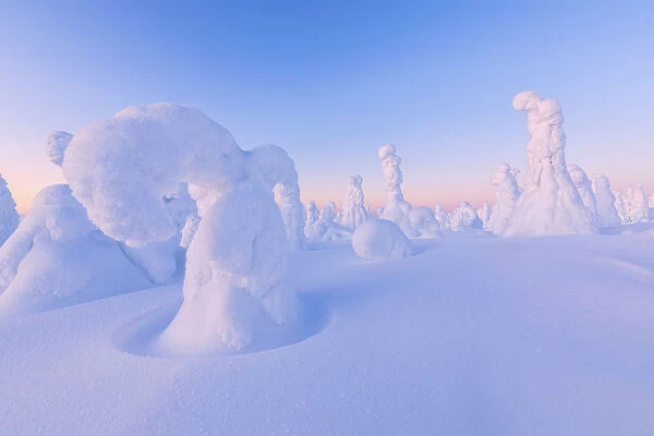 Shapes of frozen trees, Riisitunturi National Park, Posio, Lapland, Finland, Europe