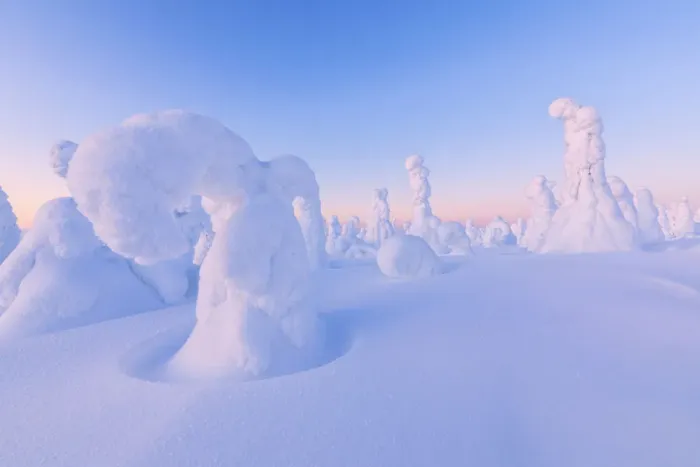 Framed Print : Shapes of frozen trees, Riisitunturi National Park, Posio, Lapland, Finland, Europe Framed Print : Shapes of frozen trees, Riisitunturi National Park, Posio, Lapland, Finland, Europe