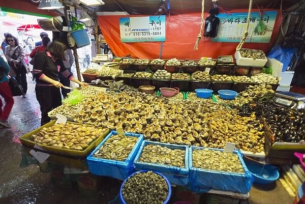 Shell fish, Incheon fish market, South Korea, Asia