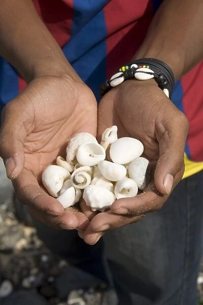 Shells found on beach, Sao Vicente, Cape Verde Islands, Africa