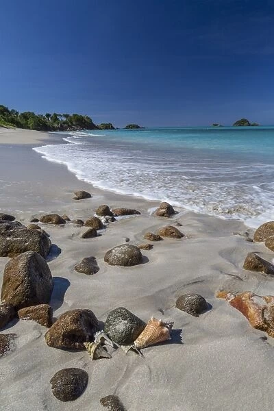 Shells and rocks lie on the beach of Spearn Bay lit the tropical sun and washed by Caribbean Sea