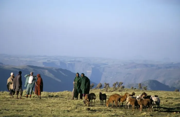 Framed Print : Shepherds at Geech Camp, Simien Mountains National Park, UNESCO World Heritage Site Framed Print : Shepherds at Geech Camp, Simien Mountains National Park, UNESCO World Heritage Site