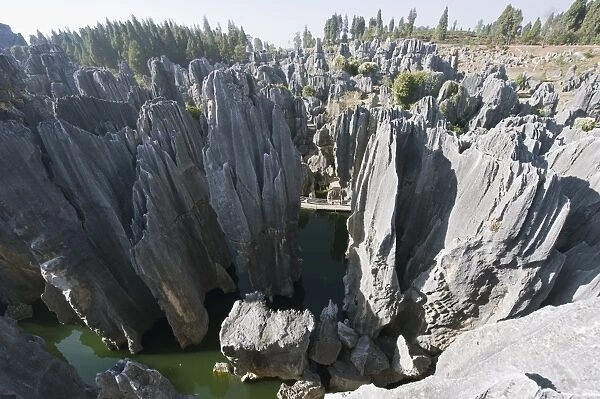 Shilin Stone Forest, UNESCO World Heritage Site, Yunnan Province, China, Asia