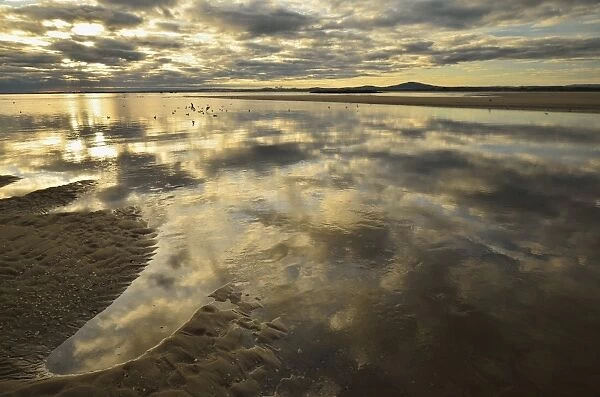 Shore at Anderson Bay, Bridport, Tasmania, Australia, Pacific