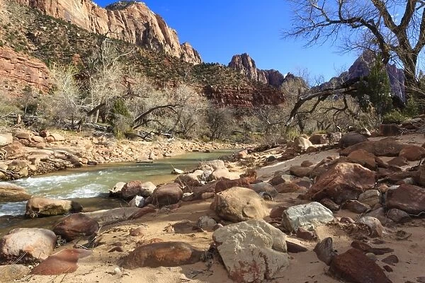Shores of the Virgin River in winter, Zion Canyon, Zion National Park, Utah, United States of America, North America