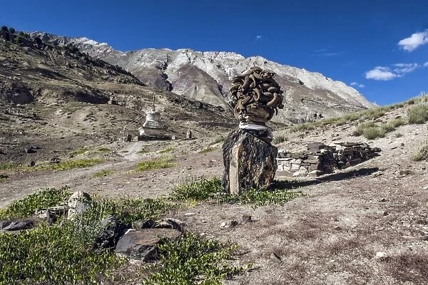 Shrine with Argyle Sheep horns and Blue sheep horns, lower Nyerak village, Ladakh