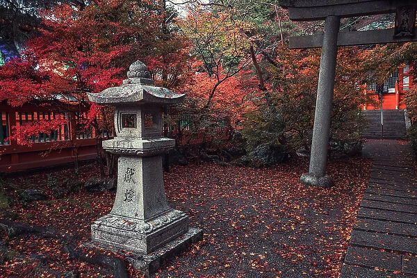 A shrine in Bishamon-do Buddhist temple with autumn colors, Kyoto, Honshu, Japan, Asia