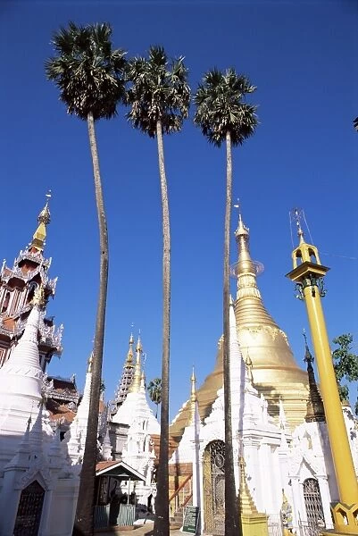 Shrines and palm trees, Shwedagon Pagoda, Yangon (Rangoon), Myanmar (Burma), Asia