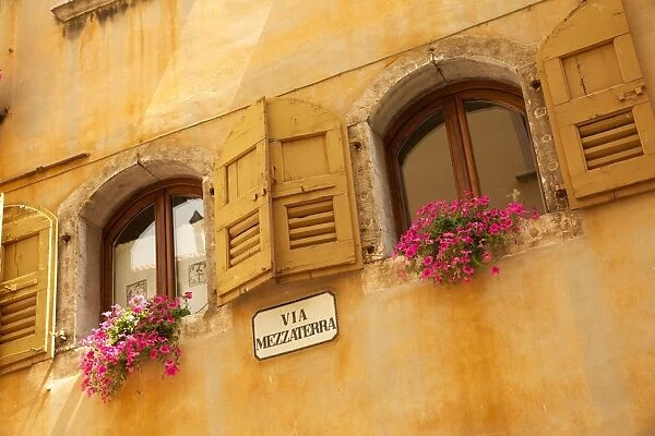 Shuttered windows and flowers, Piazza Mercato, Belluno, Province of Belluno, Veneto, Italy, Europe