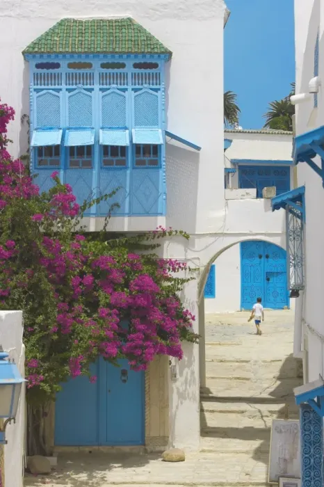 Framed Print : Sidi Bou Said, Tunisia, North Africa, Africa Framed Print : Sidi Bou Said, Tunisia, North Africa, Africa