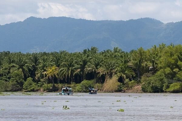 Sierpe River, Osa Peninsula, Costa Rica, Central America