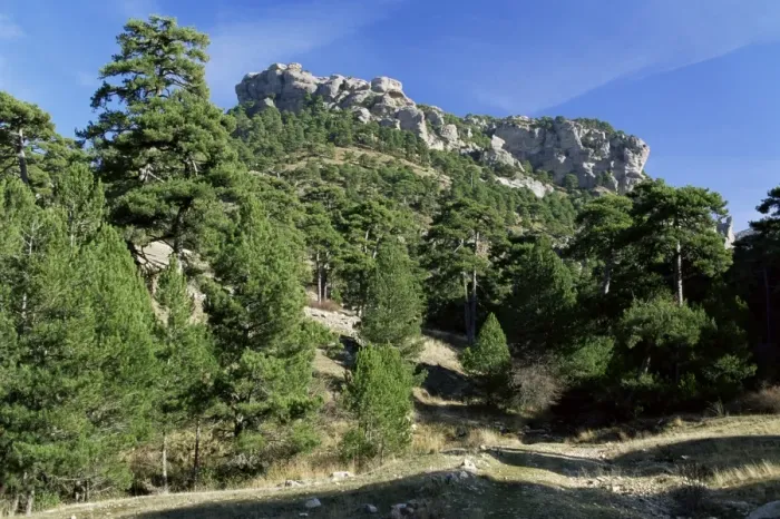Framed Print : Sierra de Cazorla