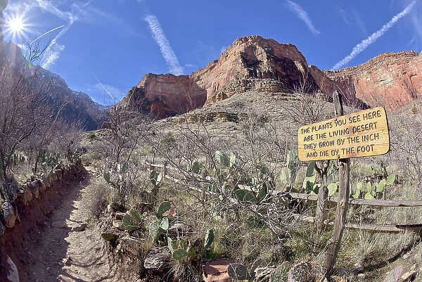 A sign along the Bright Angel Trail in Grand Canyon warning that the plants in this area are very fragile, Grand Canyon National Park, UNESCO World Heritage Site, Arizona, United States of America, North America