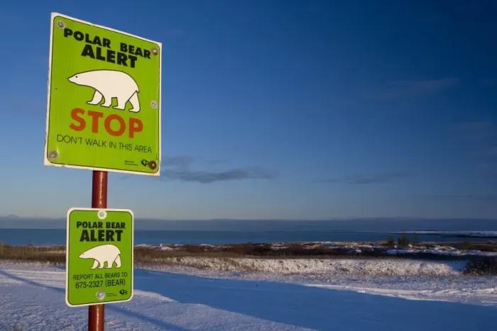 Framed Print : Sign, Polar bear alert at Hudson Bay, Churchill, Manitoba, Canada, North America