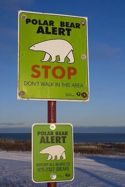 Sign, Polar bear alert at Hudson Bay, Churchill, Manitoa, Canada, North America