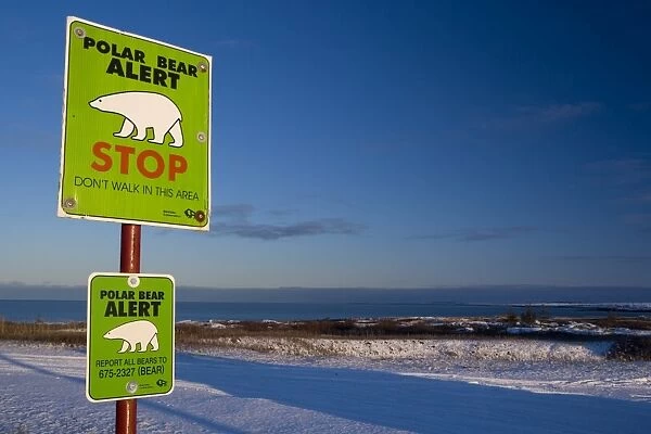 Sign, Polar bear alert at Hudson Bay, Churchill, Manitoba, Canada, North America