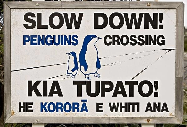 Sign warning drivers about penguins in the road