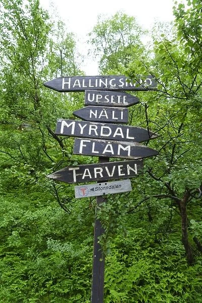 Signpost near Flam, Norway, Scandinavia, Europe