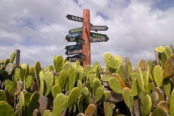 A signpost standing among cactuses, Barbados, West Indies, Caribbean, Central America
