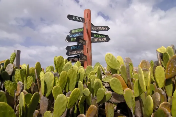 Framed Print : A signpost standing among cactuses, Barbados, West Indies, Caribbean, Central America Framed Print : A signpost standing among cactuses, Barbados, West Indies, Caribbean, Central America