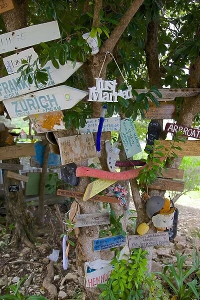 Signs on tree at Mama Pastas, Long Bay, Antigua, Leeward Islands, West Indies, Caribbean, Central America