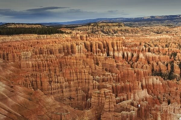 Silent City hoodoos on a cloudy winter afternoon, Bryce Amphitheatre, Inspiration Point, Bryce Canyon National Park, Utah, United States of America, North America