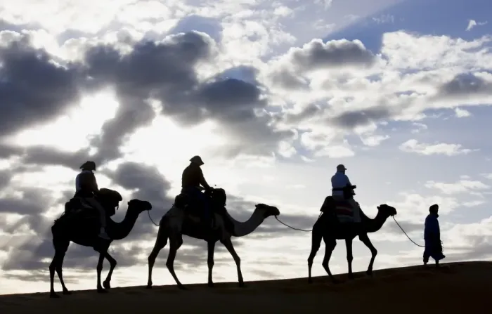 Framed Print : Silhouette of Berber man leading three camels along the ridge of a sand dune in the Erg Chebbi sand sea near Merzouga, Morocco, North Framed Print : Silhouette of Berber man leading three camels along the ridge of a sand dune in the Erg Chebbi sand sea near Merzouga, Morocco, North
