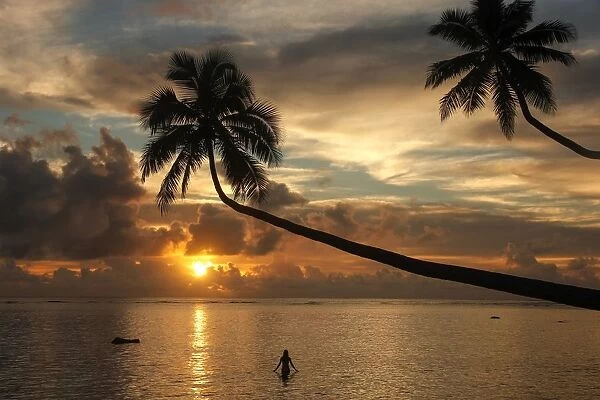 Silhouette of leaning palm trees and a woman at sunrise on Taveuni Island, Fiji, Pacific