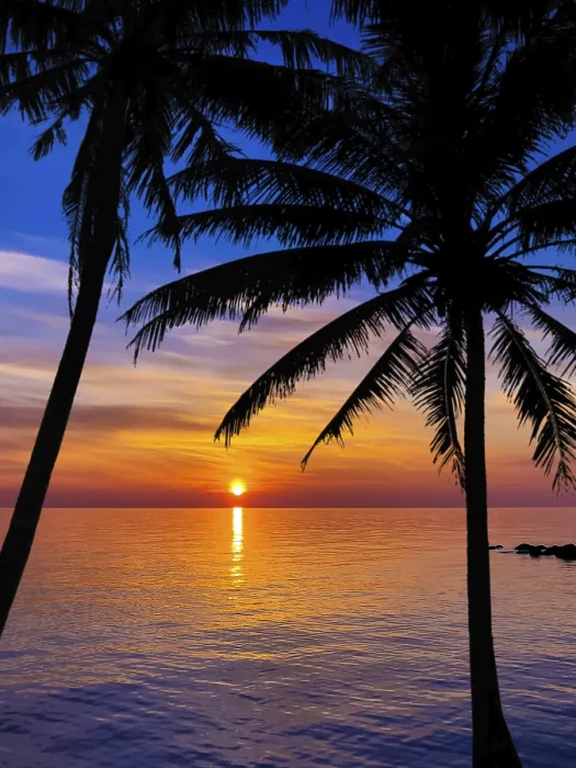 Framed Print : Silhouette of palm trees Beautiful sunset on the tropical sea beach Framed Print : Silhouette of palm trees Beautiful sunset on the tropical sea beach