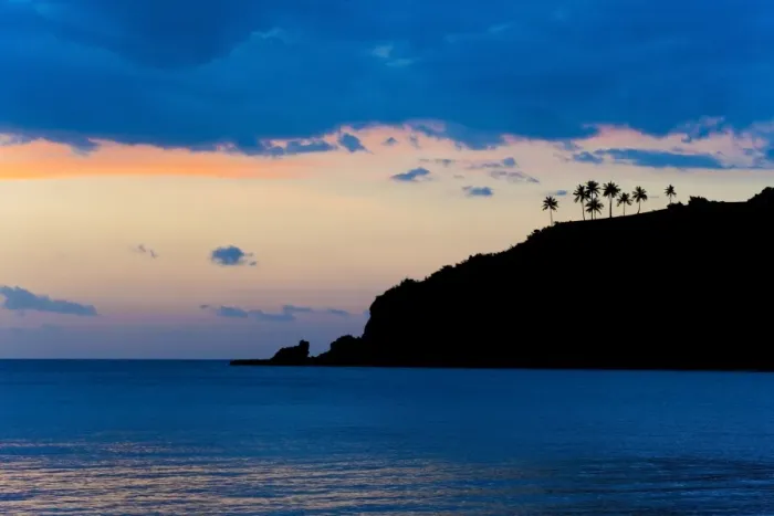 Framed Print : Silhouette of palm trees on a cliff at sunset, Nippah Beach, Lombok, Indonesia, Southeast Asia, Asia Framed Print : Silhouette of palm trees on a cliff at sunset, Nippah Beach, Lombok, Indonesia, Southeast Asia, Asia