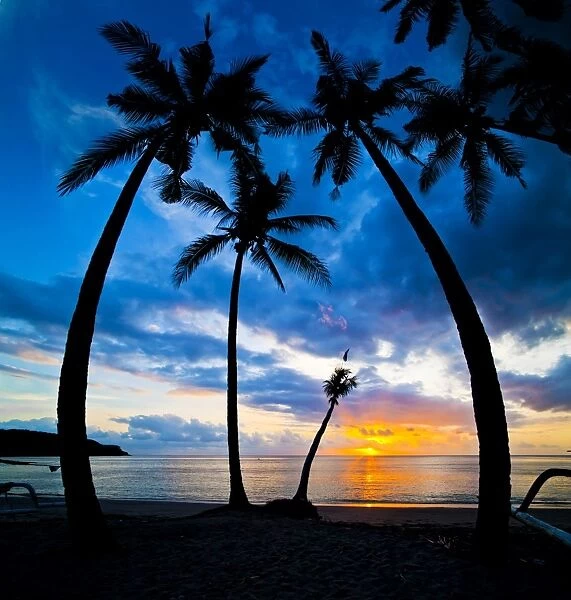 Silhouette of palm trees at sunset, Nippah Beach, Lombok, Indonesia, Southeast Asia, Asia