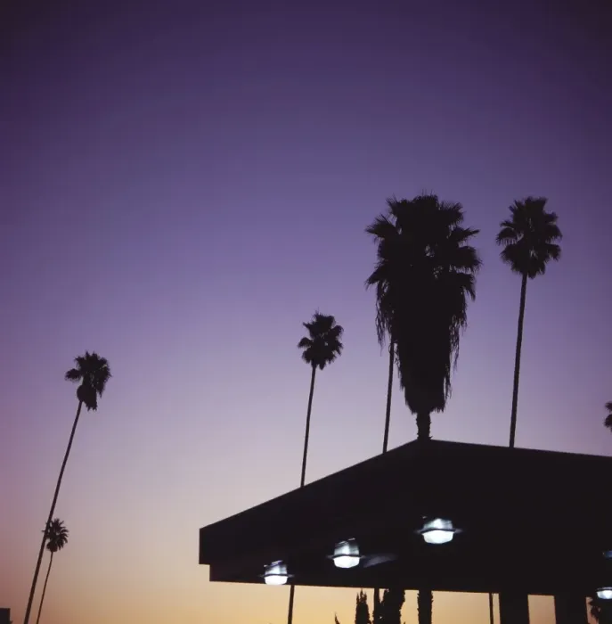 Framed Print : Silhouette of palms next to gas station, South Pasadena, California, United States of America Framed Print : Silhouette of palms next to gas station, South Pasadena, California, United States of America