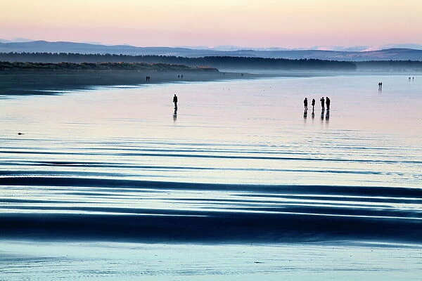 Silhouetted figures on the West Sands at dusk, St Andrews, Fife, Scotland, United Kingdom, Europe