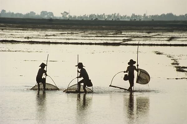 Silhouettes of three fishermen in flooded fields in Vietnam